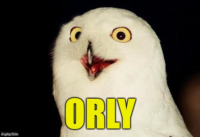 Orly Owl | ORLY | image tagged in orly owl | made w/ Imgflip meme maker