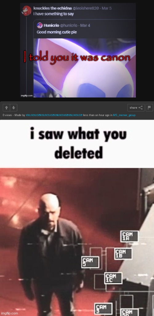 I don't care if it's canon, I just don't want to see that same image 4 times in a row. sincerely, arentyoufrekingyourself | image tagged in i saw what you deleted | made w/ Imgflip meme maker
