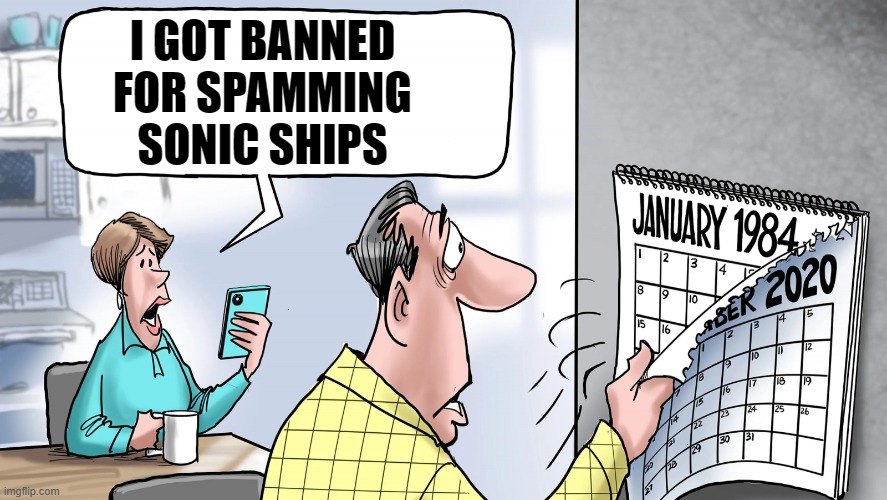 Literally 1984 | I GOT BANNED FOR SPAMMING SONIC SHIPS | image tagged in literally 1984 | made w/ Imgflip meme maker