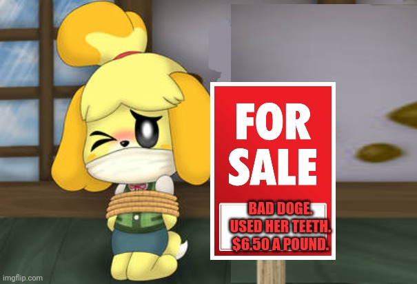 BAD DOGE. USED HER TEETH. $6.50 A POUND. | made w/ Imgflip meme maker