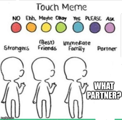 touch chart meme | WHAT PARTNER? | image tagged in touch chart meme | made w/ Imgflip meme maker