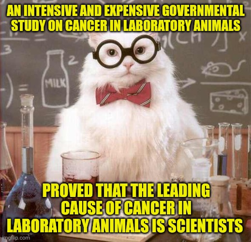 cat scientist | AN INTENSIVE AND EXPENSIVE GOVERNMENTAL STUDY ON CANCER IN LABORATORY ANIMALS; PROVED THAT THE LEADING CAUSE OF CANCER IN LABORATORY ANIMALS IS SCIENTISTS | image tagged in cat scientist | made w/ Imgflip meme maker