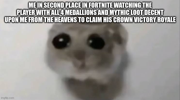 Sad Hamster | ME IN SECOND PLACE IN FORTNITE WATCHING THE PLAYER WITH ALL 4 MEDALLIONS AND MYTHIC LOOT DECENT UPON ME FROM THE HEAVENS TO CLAIM HIS CROWN VICTORY ROYALE | image tagged in sad hamster | made w/ Imgflip meme maker