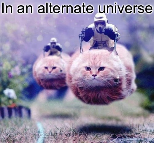 Alternate universe | In an alternate universe | image tagged in storm trooper cats | made w/ Imgflip meme maker