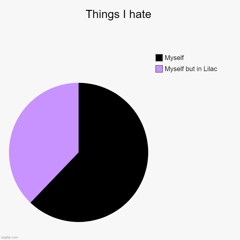 Things I hate | Myself but in Lilac, Myself | image tagged in charts,pie charts | made w/ Imgflip chart maker