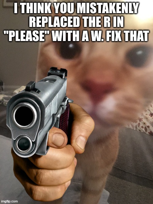 cat pointing gun | I THINK YOU MISTAKENLY REPLACED THE R IN "PLEASE" WITH A W. FIX THAT | image tagged in cat pointing gun | made w/ Imgflip meme maker