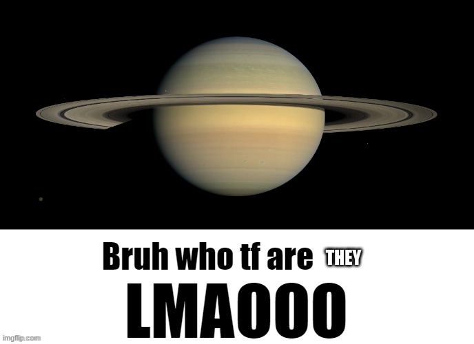 Bruh who tf are you LMAOOO | THEY | image tagged in bruh who tf are you lmaooo | made w/ Imgflip meme maker