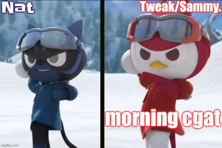 Nat and Tweak announcement temp | morning cgat | image tagged in nat and tweak announcement temp | made w/ Imgflip meme maker
