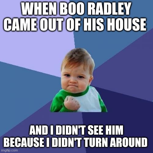 To Kill a mocking bird | WHEN BOO RADLEY CAME OUT OF HIS HOUSE; AND I DIDN'T SEE HIM BECAUSE I DIDN'T TURN AROUND | image tagged in memes,success kid | made w/ Imgflip meme maker