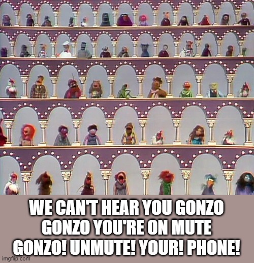 zoom meetings | WE CAN'T HEAR YOU GONZO
GONZO YOU'RE ON MUTE
GONZO! UNMUTE! YOUR! PHONE! | image tagged in muppets,zoom,mute | made w/ Imgflip meme maker