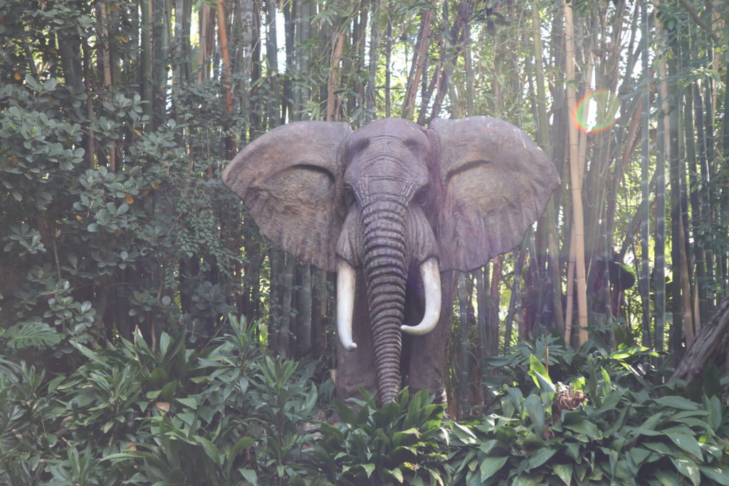 Jungle Cruise African Elephant Blank Meme Template