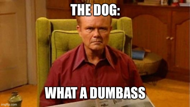 Red Forman | THE DOG: WHAT A DUMBASS | image tagged in red forman | made w/ Imgflip meme maker