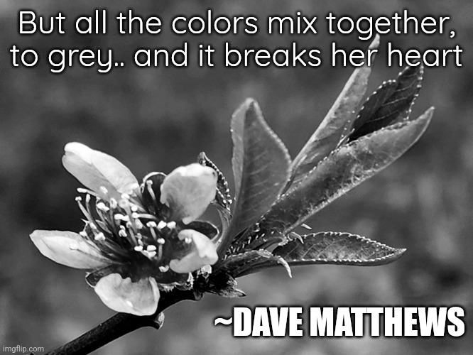 Grey Street (photo by Melissa Yeargan) | But all the colors mix together, to grey.. and it breaks her heart; ~DAVE MATTHEWS | image tagged in grey street by dmb | made w/ Imgflip meme maker