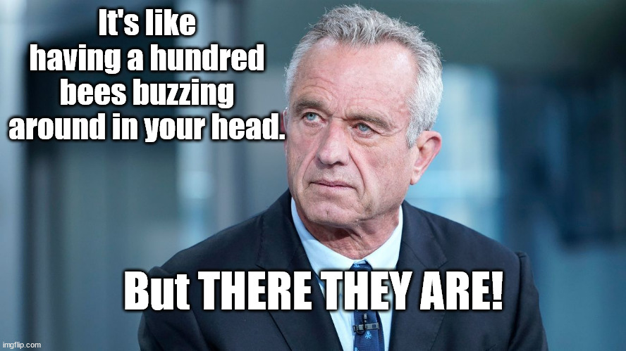 RFK Jr. is nuts! | It's like having a hundred bees buzzing around in your head. But THERE THEY ARE! | image tagged in crazy,rfk,junior | made w/ Imgflip meme maker