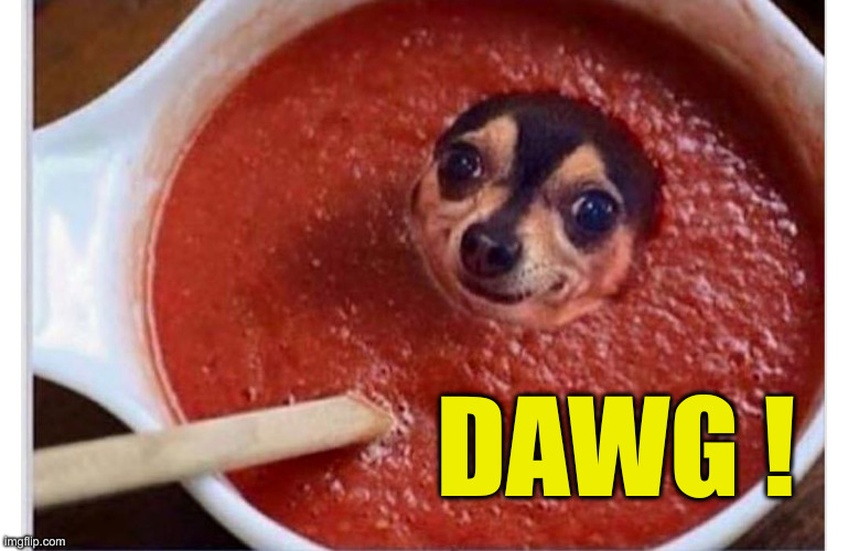 Sauce dog | DAWG ! | image tagged in sauce dog | made w/ Imgflip meme maker