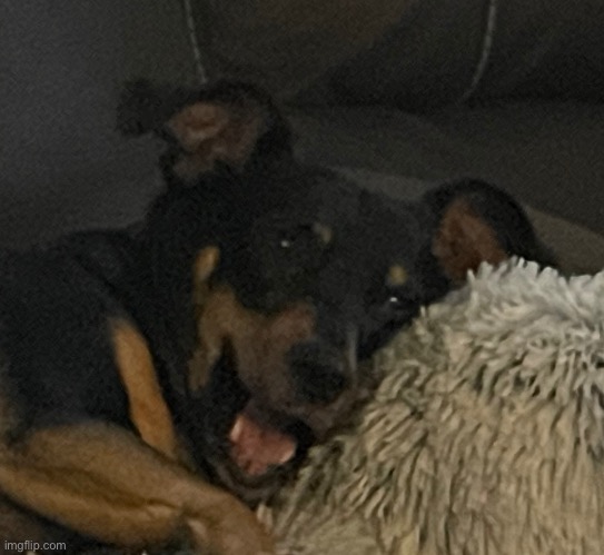 Bro said :0 | made w/ Imgflip meme maker