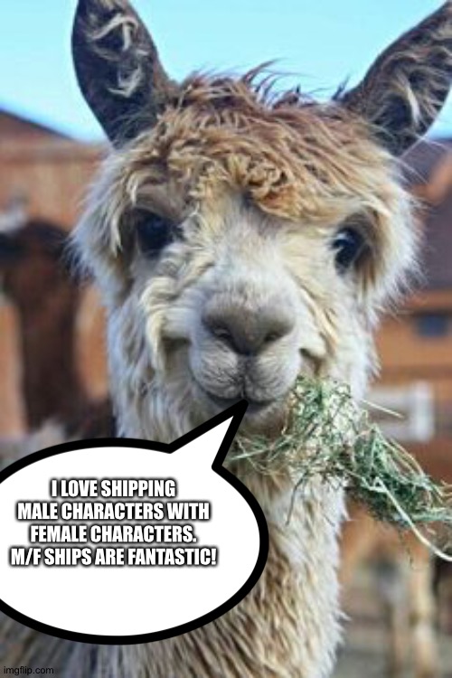 Even Llamas love M/F ships | I LOVE SHIPPING MALE CHARACTERS WITH FEMALE CHARACTERS. M/F SHIPS ARE FANTASTIC! | image tagged in happy llama | made w/ Imgflip meme maker
