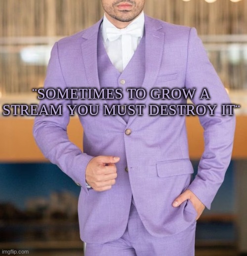 Quote | ¨SOMETIMES TO GROW A STREAM YOU MUST DESTROY IT¨ | image tagged in quote | made w/ Imgflip meme maker