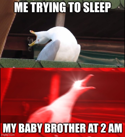 Screaming bird | ME TRYING TO SLEEP; MY BABY BROTHER AT 2 AM | image tagged in screaming bird | made w/ Imgflip meme maker
