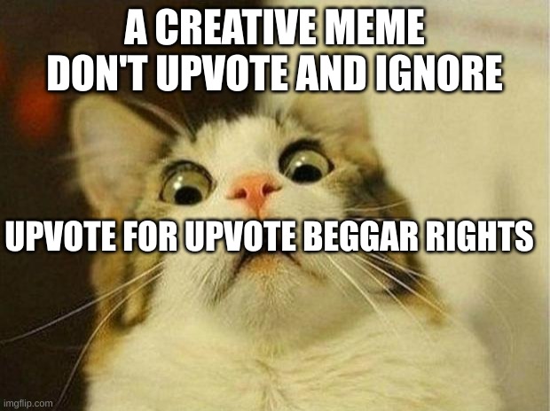 Scared Cat | A CREATIVE MEME DON'T UPVOTE AND IGNORE; UPVOTE FOR UPVOTE BEGGAR RIGHTS | image tagged in memes,scared cat | made w/ Imgflip meme maker