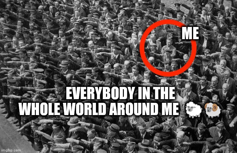 Sheeple | ME; EVERYBODY IN THE WHOLE WORLD AROUND ME  🐑🐏 | image tagged in one man | made w/ Imgflip meme maker