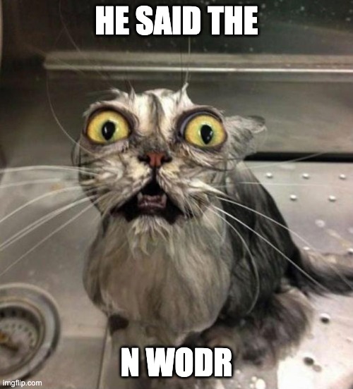 Astonished Wet Cat | HE SAID THE; N WODR | image tagged in astonished wet cat | made w/ Imgflip meme maker