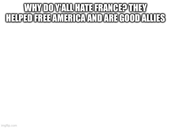 Bro like what? | WHY DO Y'ALL HATE FRANCE? THEY HELPED FREE AMERICA AND ARE GOOD ALLIES | made w/ Imgflip meme maker