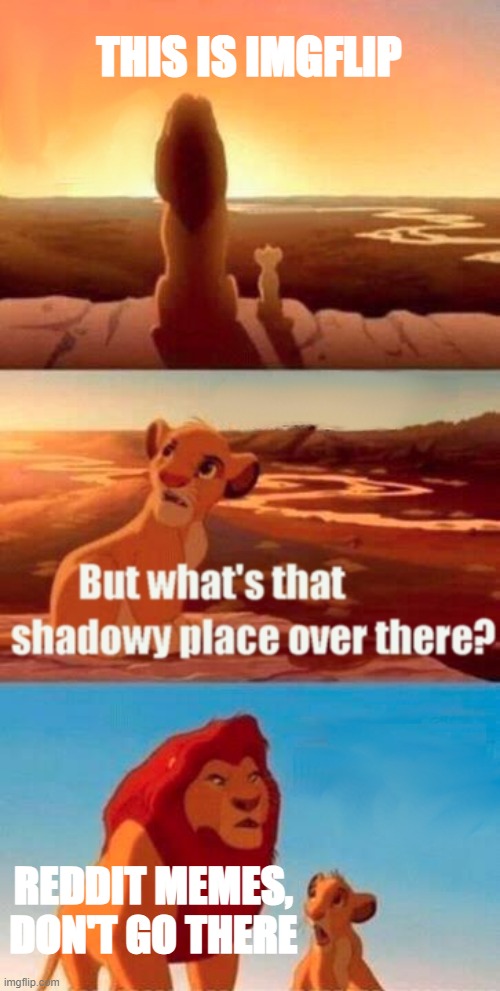 Simba Shadowy Place Meme | THIS IS IMGFLIP; REDDIT MEMES, DON'T GO THERE | image tagged in memes,simba shadowy place,funny,funny memes | made w/ Imgflip meme maker