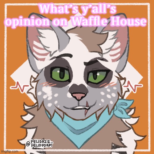 There is only one correct answer | What’s y’all’s opinion on Waffle House | made w/ Imgflip meme maker