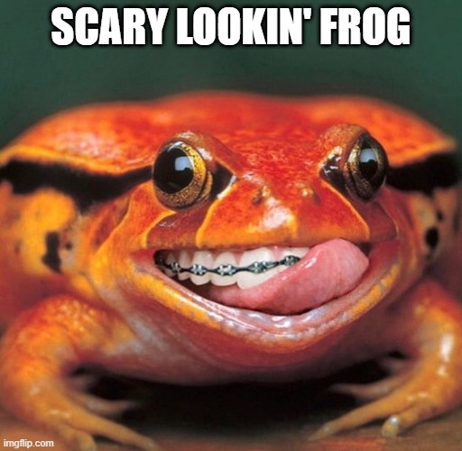 Scary | SCARY LOOKIN' FROG | image tagged in cursed image | made w/ Imgflip meme maker