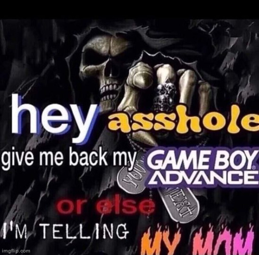 Wouldn't it be funny if we all just decided to migrate to vibe zone | made w/ Imgflip meme maker