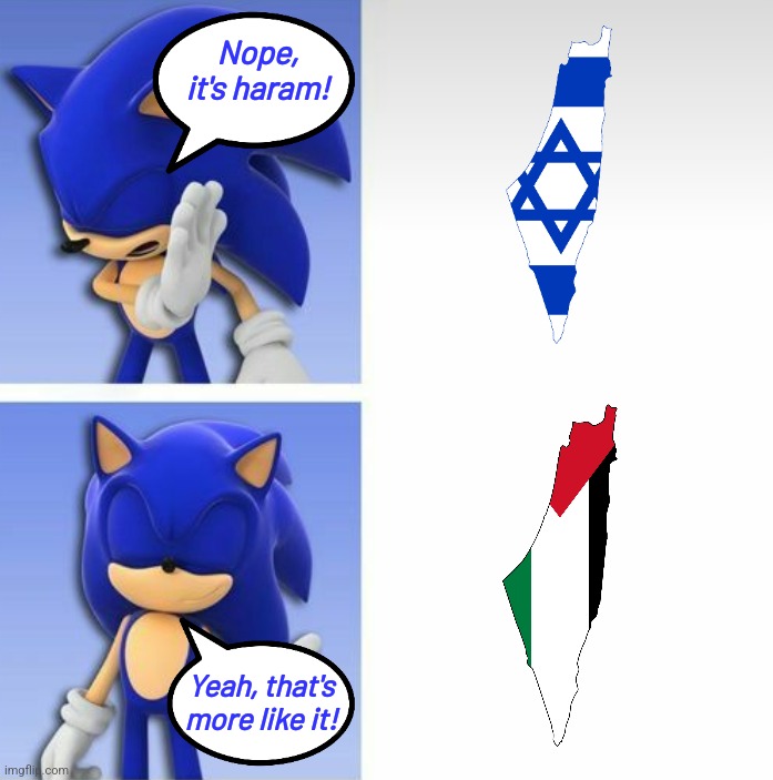 Sonic the Hedgehog prefers a Perfect Palestine over Occupied one by Israel (fill in memes be like) | Nope, it's haram! Yeah, that's more like it! | image tagged in sonic hotline bling,palestine,israel,israel jews,gaza,memes | made w/ Imgflip meme maker