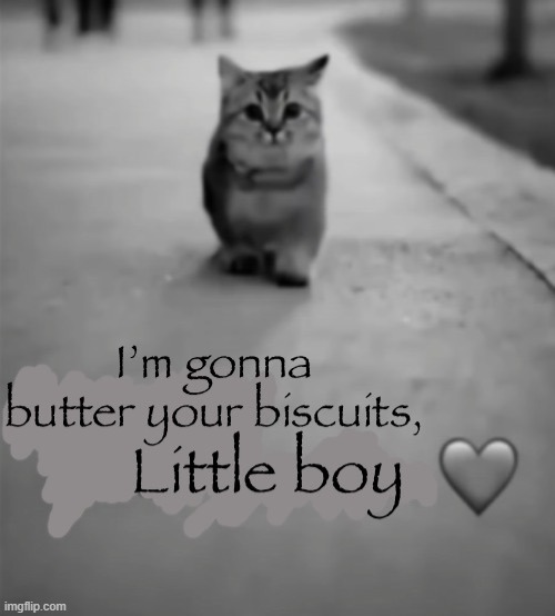 I’m gonna butter your biscuits | image tagged in i m gonna butter your biscuits | made w/ Imgflip meme maker