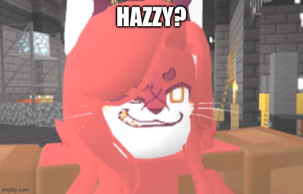 someone did a glitch and now they look like that | HAZZY? | image tagged in hazzy | made w/ Imgflip meme maker