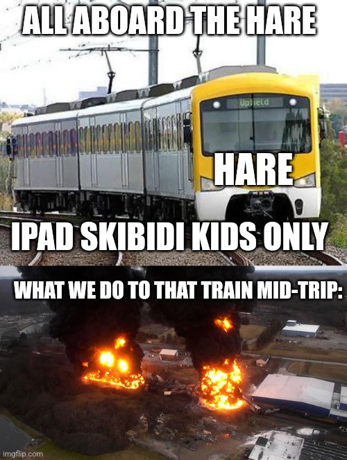 The iPad skibidiots gonna BURN | ALL ABOARD THE HARE; HARE; IPAD SKIBIDI KIDS ONLY; WHAT WE DO TO THAT TRAIN MID-TRIP: | image tagged in hype train | made w/ Imgflip meme maker