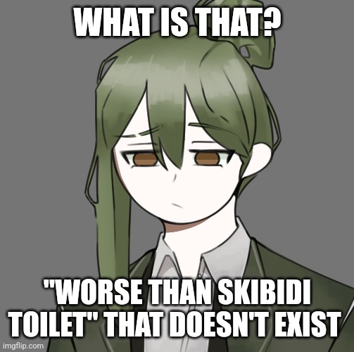 Wtf | WHAT IS THAT? "WORSE THAN SKIBIDI TOILET" THAT DOESN'T EXIST | image tagged in wtf | made w/ Imgflip meme maker
