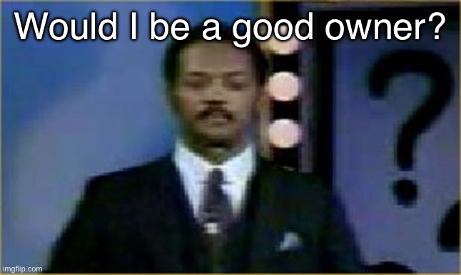 The Question Is Moot! | Would I be a good owner? | image tagged in the question is moot | made w/ Imgflip meme maker