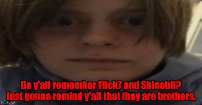 They are not as active on imgflip anymore though, Flick is kinda still active in memechat. | Do y'all remember Flick7 and Shinobii?
Just gonna remind y'all that they are brothers. | image tagged in darthswede silly serious face | made w/ Imgflip meme maker