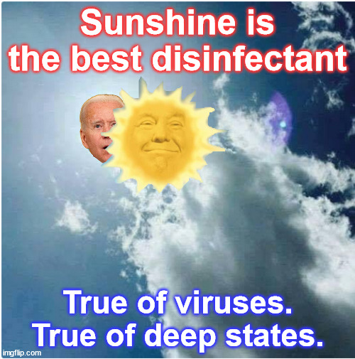 Sunshine is the best disinfectant...  that's why they're so terrified of Trump | Sunshine is the best disinfectant; True of viruses. True of deep states. | image tagged in shine,a light,on the biden corruption,corrupt doj,rogue fbi | made w/ Imgflip meme maker