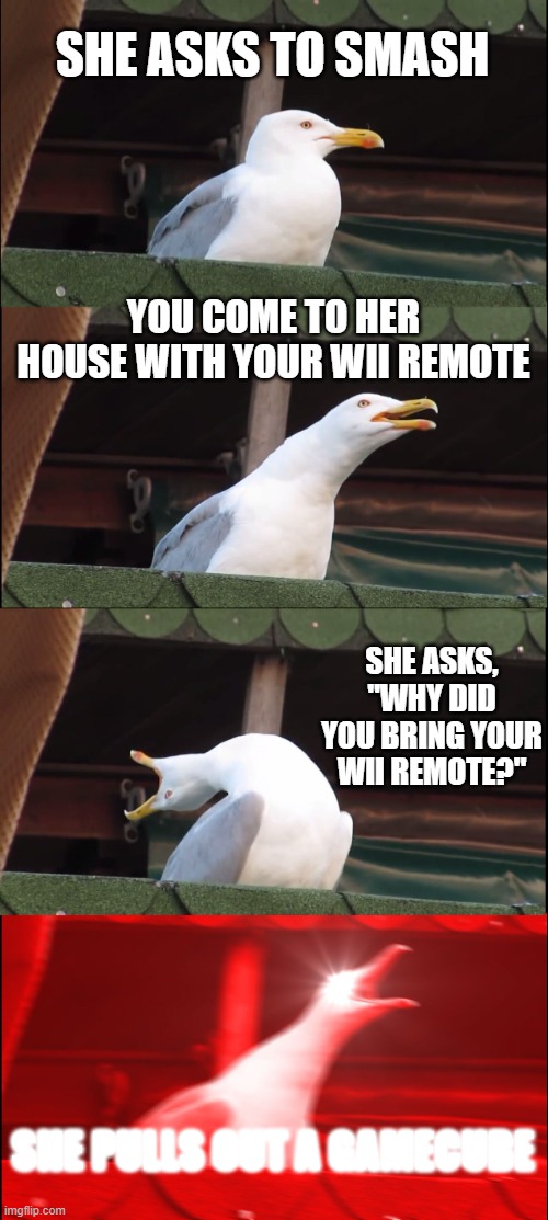 DAS WHY MELEE THE GOAT! DA GOAT!!!!!!!!!!!!!!!!! | SHE ASKS TO SMASH; YOU COME TO HER HOUSE WITH YOUR WII REMOTE; SHE ASKS, "WHY DID YOU BRING YOUR WII REMOTE?"; SHE PULLS OUT A GAMECUBE | image tagged in memes,inhaling seagull | made w/ Imgflip meme maker