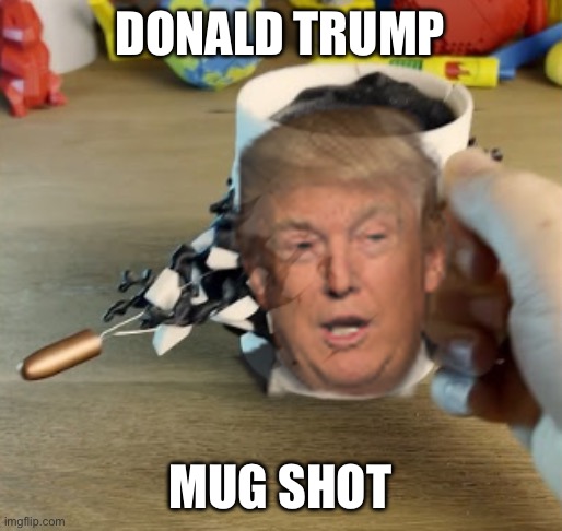 Donald trump mugshot | DONALD TRUMP; MUG SHOT | image tagged in donald trump,bad pun | made w/ Imgflip meme maker
