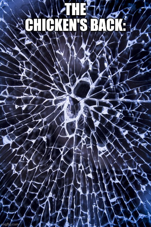 Broken Glass | THE CHICKEN'S BACK: | image tagged in broken glass | made w/ Imgflip meme maker