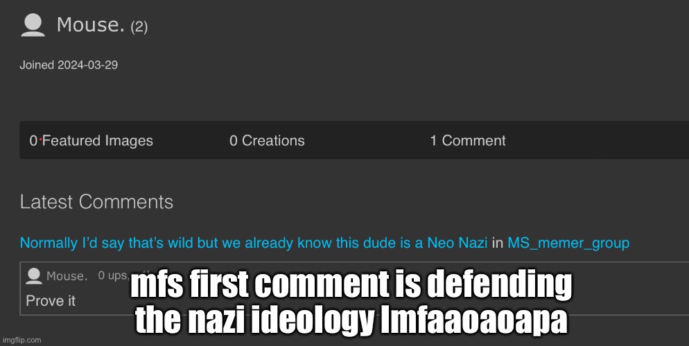 mfs first comment is defending the nazi ideology lmfaaoaoapa | made w/ Imgflip meme maker
