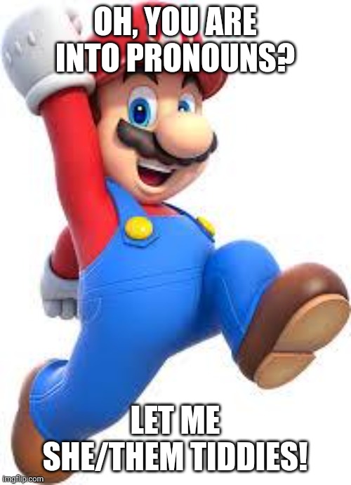 /j | OH, YOU ARE INTO PRONOUNS? LET ME SHE/THEM TIDDIES! | image tagged in mario | made w/ Imgflip meme maker