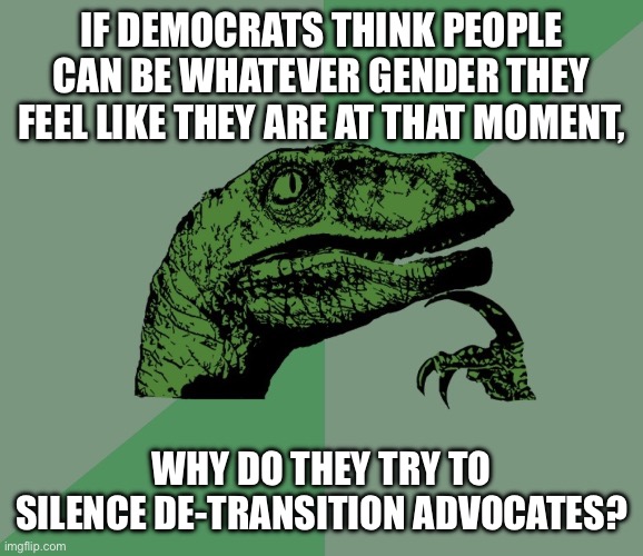 dino think dinossauro pensador | IF DEMOCRATS THINK PEOPLE CAN BE WHATEVER GENDER THEY FEEL LIKE THEY ARE AT THAT MOMENT, WHY DO THEY TRY TO SILENCE DE-TRANSITION ADVOCATES? | image tagged in dino think dinossauro pensador | made w/ Imgflip meme maker