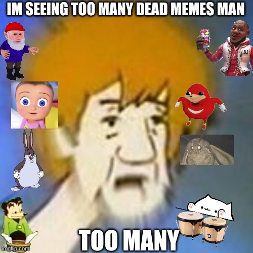 too much scooby snacks | IM SEEING TOO MANY DEAD MEMES MAN; TOO MANY | image tagged in shaggy dank meme | made w/ Imgflip meme maker