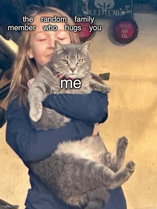 my template! credit to @Brindlee_hope | the random family member who hugs you; me | image tagged in mad cat | made w/ Imgflip meme maker