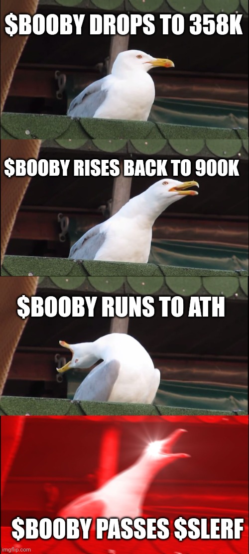 Inhaling Seagull | $BOOBY DROPS TO 358K; $BOOBY RISES BACK TO 900K; $BOOBY RUNS TO ATH; $BOOBY PASSES $SLERF | image tagged in memes,inhaling seagull | made w/ Imgflip meme maker