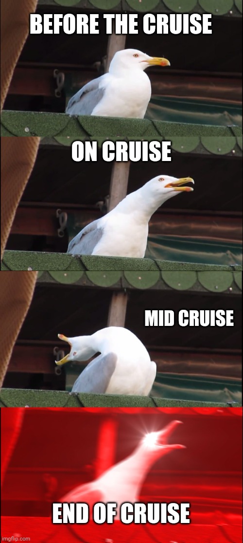 Inhaling Seagull Meme | BEFORE THE CRUISE; ON CRUISE; MID CRUISE; END OF CRUISE | image tagged in memes,inhaling seagull | made w/ Imgflip meme maker