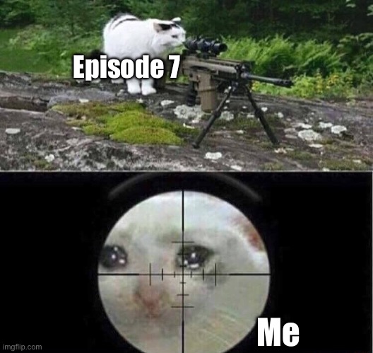 Sniper cat | Episode 7 Me | image tagged in sniper cat | made w/ Imgflip meme maker